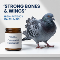 Complément alimentaire professionnel 5-en-1 pour la santé des pigeons - Mélange multivitaminé et électrolytique avec enzymes digestives - Vente en gros et étiquetage privé