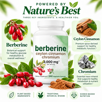 240 Capsules de Berbérine pour Adultes en Stock Important avec Cannelle de Ceylan et Chrome OEM 3000mg Suppléments Herbales Pures Capsules de Berbérine