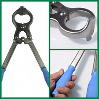 Outil de castration pour moutons et chèvres, poignée bleue, équipement de castration de haute qualité, pinces de castration sans saignement