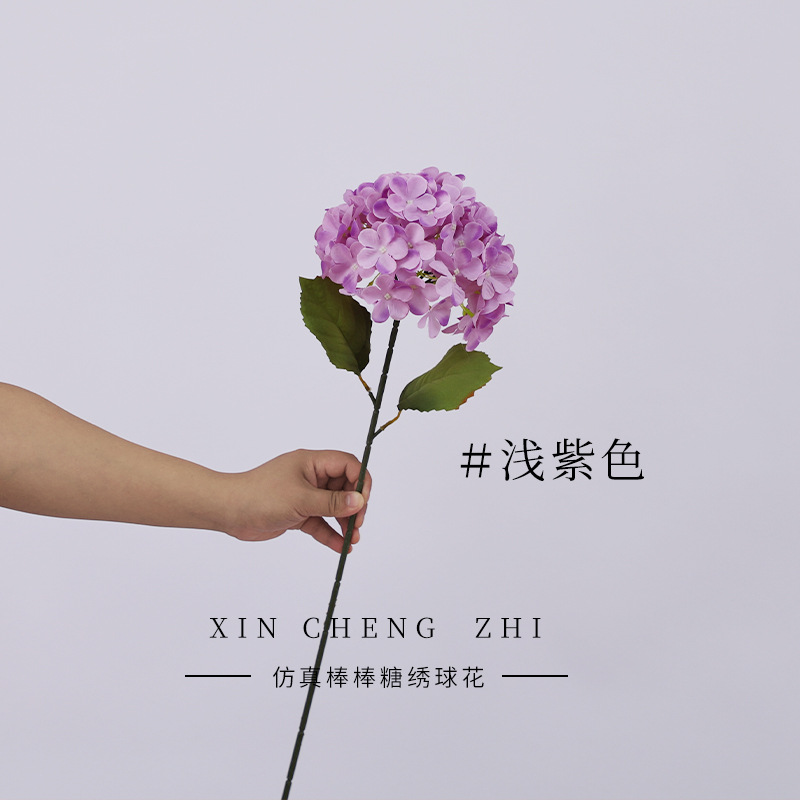 สีม่วงอ่อนมีใบ