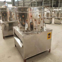 Plumeuse automatique commerciale 220V/110V pour volailles, cailles et pigeons
