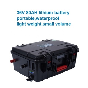 ราคาโรงงาน แบตเตอรี่ลิเธียมโพลิเมอร์ 36v 80ah สำหรับใช้งานกลางแจ้งแบบออฟกริด - Product Image 2