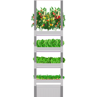 Système de jardin intérieur contrôlé par application avec lampes de culture Système de légumes grimpants hydroponiques