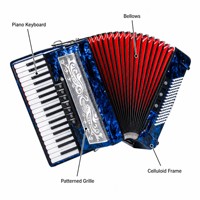 Accordéon d'entraînement 37 touches 80 basses, instrument de musique pour adultes et étudiants, idéal pour la pratique, les examens et les performances
