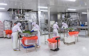 Chips de frutas liofilizadas, paquete OEM de chips de fresa, aperitivos saludables <span class=keywords><strong>chinos</strong></span> a granel - Product Image 5