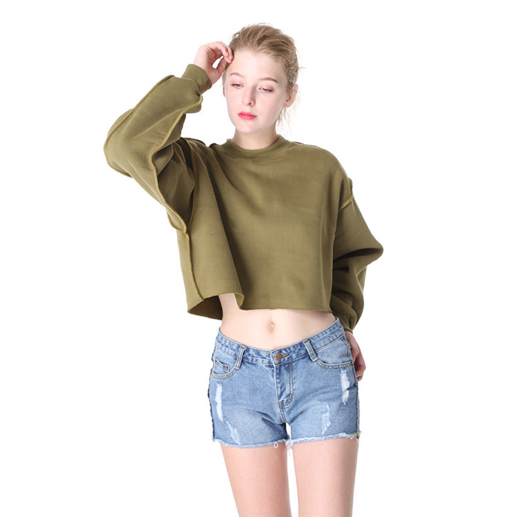 2021New Style Custom logo Long Sleeve bulk blank Women Blank Cropped Top Hooded sweate