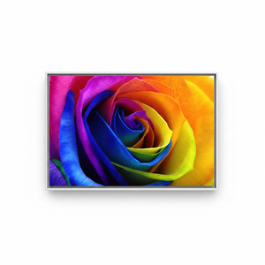 Printed Canvas Artwork: Floral Canvas with Rainbow Rose Design,WHITE <b>FRAMED</b> CANVAS - Product Image 2