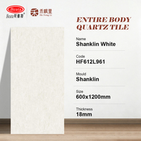 Carrelage mural extérieur en pierre de quartz blanc Beata 60x120cm, finition brisé, pleine masse, pour jardin et villa