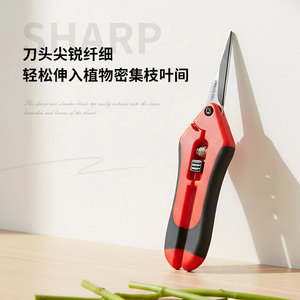 กรรไกรตัดแต่งกิ่งสแตนเลส เครื่องมือเก็บผลไม้ในสวน ใช้สำหรับมือขวา - Product Image 4