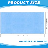 30 draps jetables ajustés pour spa, 39x87 pouces, imperméables, résistants à l'huile, non tissés, pour salon de massage, clinique