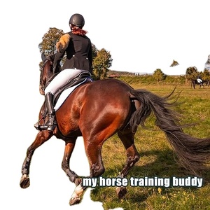 ธงฝึกม้าคุณภาพสูง ผลิตภัณฑ์ใหม่ กันน้ำ พิมพ์ลายสีเต็มรูปแบบ สำหรับแคมเปญ พร้อมโลโก้ใดๆก็ได้ - Product Image 5