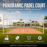Pista de Pádel Panorámica Directa de Fábrica, Conjunto Completo para Exteriores con Estructura de Acero Galvanizado Antioxidante