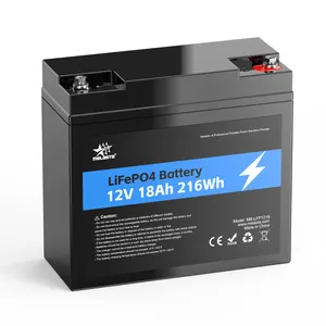 Volle Capaciteit Hoge Efficiëntie Diepe Cyclus Lithium-Ion Batterij 12V 18ah Lifepo4 Batterij Met Bms