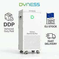 Dyness PowerBrick Plus 16 kWh 51.2V 314Ah Module de batterie de stockage d'énergie solaire LiFePO4, entrepôt UE, jusqu'à 50 unités, pack lithium-ion