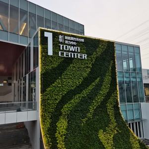 Modules de Jardin Vertical pour Intérieur et Extérieur, Murs Végétaux, Pots et Jardinières - Product Image 3