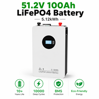 Batterie de stockage d'énergie domestique LiFePO4 51,2 V 100 Ah, grande capacité, batterie ESS, BMS intelligent, vente directe d'usine OEM
