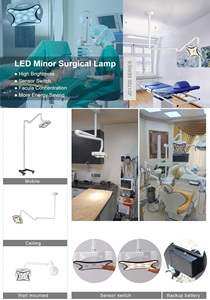 <strong>Led</strong> Ceiling Surgical <strong>Operating</strong> <strong>Room</strong> Light for Veterinary Surgeon Veterinary Clinic Hospital <strong>Led</strong> Surgical Lights - Product Image 3
