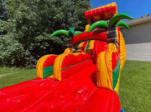 Aire de jeux commerciale à double voie pour fêtes, toboggan gonflable géant pour adultes, enfants, arrière-cour, sec et humide avec piscine - Product Image 3