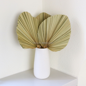 Offre d'usine : Arrangement de fleurs séchées, feuilles de <span class=keywords><strong>palmier</strong></span> séchées naturelles pour la décoration intérieure - Product Image 2