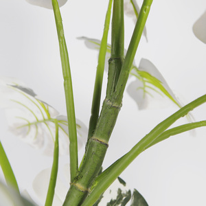 <span class=keywords><strong>Plante</strong></span> Monstera Artificielle 110cm Faux <span class=keywords><strong>Albo</strong></span> Monstera <span class=keywords><strong>Plante</strong></span> d'Intérieur dans un Pot en Plastique Noir pour la Décoration de la Maison et du Bureau - Product Image 4