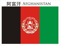 Taille personnalisée Palestine Afghanistan Emirats Arabes Unis Oman Azerbaïdjan Bahreïn transfert de chaleur 3X5 Polyester Drapeau National