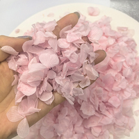 Pétales de rose véritable préservés de haute qualité, couleur blanc rose, éternels pour mariage, Saint-Valentin, remise de diplôme, Nouvel An, Noël