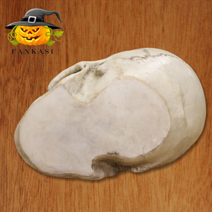 Modèle de crâne en résine pour Halloween, échelle 1:1, durable, pour la décoration et la reproduction artistique médicale - Product Image 2