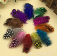 Teint naturel 50pc ploybag plume de guinée pour bricolage artisanat cheveux Costume accessoire de pêche mouche attachant ornement rêve frange décor