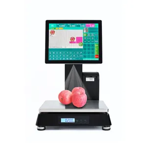 Fruit Shops 15inch Touch Screen Digital Label Printing Weighting Scale 30KG Free Software with Built-in Label Printer