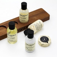 Mini Savon et Shampoing Hôtelier Jetables en Gros Pas Chers pour Salles de Bain d'Hôtel Articles de Toilette Shampoing et Après-Shampoing