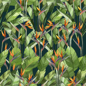 Presine Sofia Franciosini disegnate a mano e cucite a mano (x2) poggia cucchiaio e fermagli per pentole di Amazzonia - Product Image 1