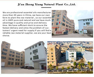 <span class=keywords><strong>Camomille</strong></span> romaine Hydrosol Anthemis Nobilis <span class=keywords><strong>Hydrolat</strong></span> - 100% pur et naturel à des prix de gros en vrac - Product Image 5