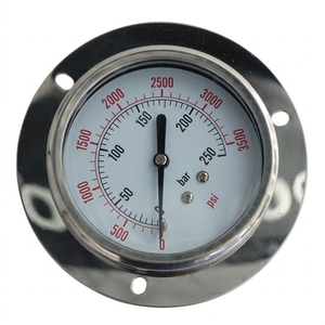 Manomètre à prix d'usine, 60 mm, raccord arrière, en acier inoxydable 304, à bain d'huile, avec bride - Product Image 2