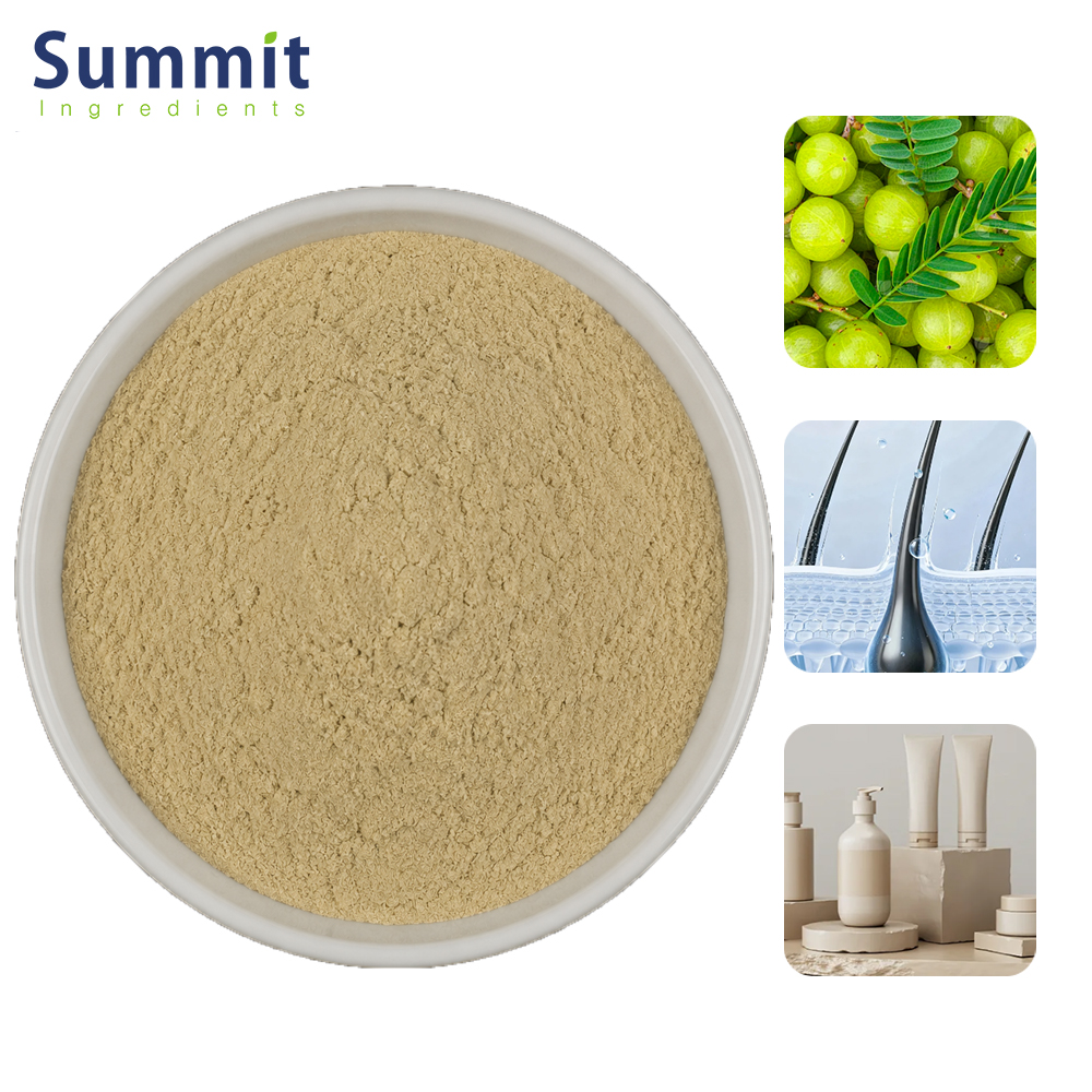Pure Organic Amla Herbal Extract Amla Berry Fruit Powder Natural Indian Gooseberry Powder For Hair Growth And Skin Care