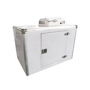 +-5 Graus 12v 48v 60v tamanho personalizado caixa refrigerada removível unidades refrigeradas a pilhas freezer para van caminhão