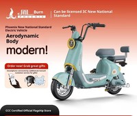 Vélo Électrique Urbain Bleu U 3 Vitesses, Nouveau Modèle Norme Nationale, 350W 48V, Batterie Plomb-Acide, Moteur Brushless, Cadre en Acier, Roues Avant et Arrière