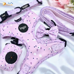 Arnés y Correa para Perro de Diseño Personalizado Premium de Proveedor, Etiqueta Privada para Perros Pequeños - Product Image 1