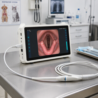 Gastroscope, laryngoscope, bronchoscope, rhinoscope, endoscope jetables flexibles, moniteur 11,6 pouces, processeur d'images 1920x1080
