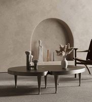 Pieds de table basse Table basse en métal bouleau Table basse italienne en miroir diamant