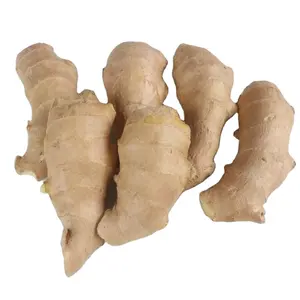 Hot Chinese Anqiu Fresh Ginger Air Ginger High Quality For Sale