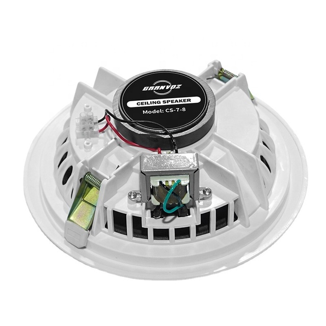 Family Theater Home Theater 6.5 Inch 8 Ohms 6W ABS Plastic Housing Ceiling Speaker for Indoor Use in Hotels Schools Hospitals