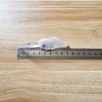 R-8233 supérieur droit 90mm 10g gros plongée profonde manivelle appâts leurre corps blancs appâts longue lèvre non peint leurre appâts en plastique dur