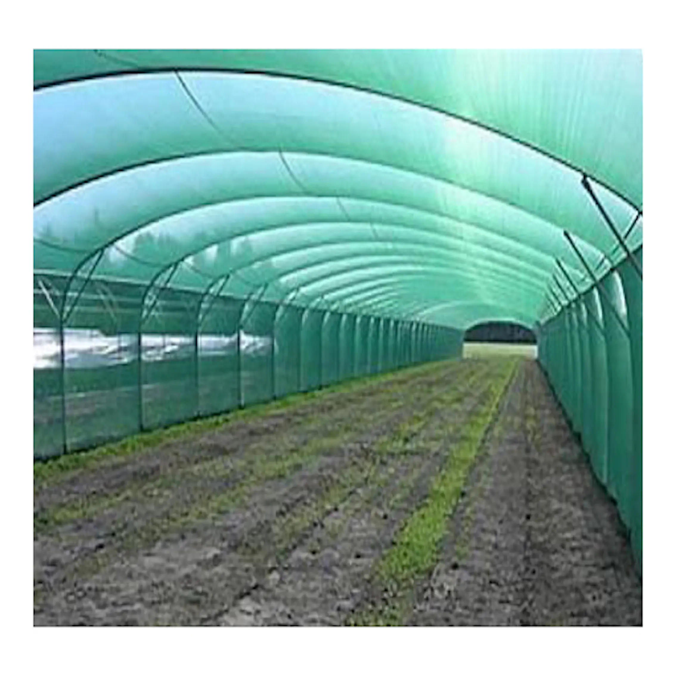Greenhouse Net Shade UV Protection Knitted Shade Cloth 40% Shade Net For Greenhouse