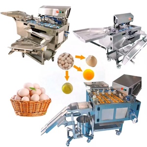 Machine à casser les œufs, <span class=keywords><strong>prix</strong></span> de la machine à briser les œufs, briseur d'œufs liquides pasteurisés - Product Image 6