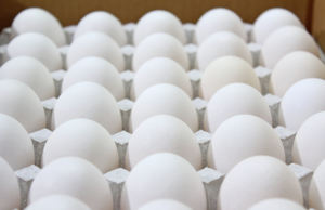 ไข่ ZEN-NOH คุณภาพเยี่ยมจากญี่ปุ่น หลากหลายสายพันธุ์ ไข่สดแท้ อายุการเก็บรักษา 60-90 วัน บรรจุ 10 กก./ลัง จากผู้จัดจำหน่าย - Product Image 2