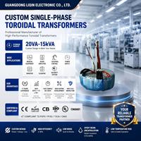 Transformador Toroidal Solar de Nueva Energía LIQIN LQ-729 Monofásico 50W-5000W Entrada 110V 120V Impermeable OEM Personalizado CE RoHS Bajo MOQ