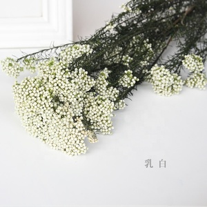 C225 Venta caliente boda decorativa Rosa Blanco Bouquet fresco Natural <span class=keywords><strong>de</strong></span> arroz seco <span class=keywords><strong>flores</strong></span> - Product Image 5