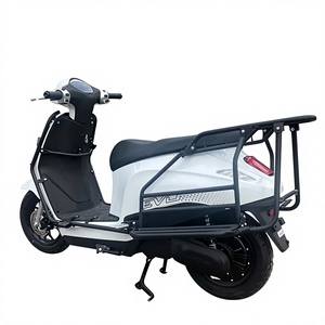 Porte-bagages avant et arrière pour scooter électrique Evo Grand avec cadre de protection fabriqué en CNC - Product Image 1