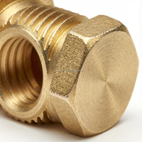 Pièces usinées sur mesure en acier inoxydable de précision, usinage CNC, non standard, application automobile, tolérance +/-0,01 mm, industriel