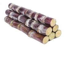 サトウキビエキスPolicosanol粉末<span class=keywords><strong>Octacosanol</strong></span>粉末 - Product Image 6